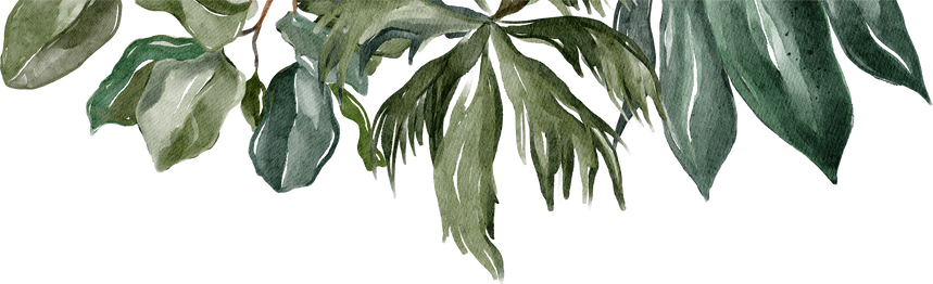 Tropical Leaves Element